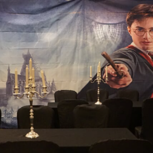 Rental - Harry Potter house Fabric BACKDROP 5 by 6 feet