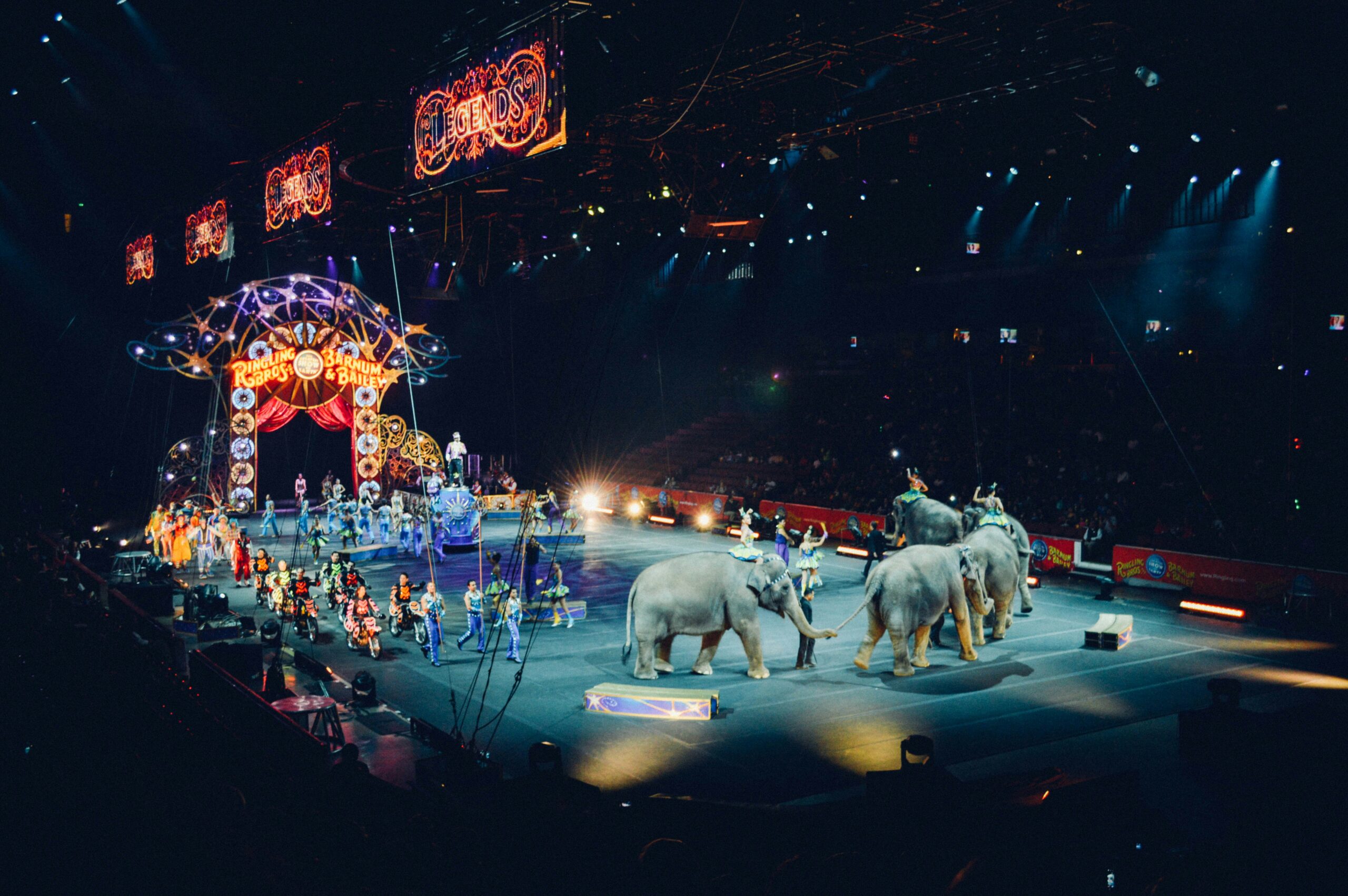 What is the Best Age to Take a Child to the Circus